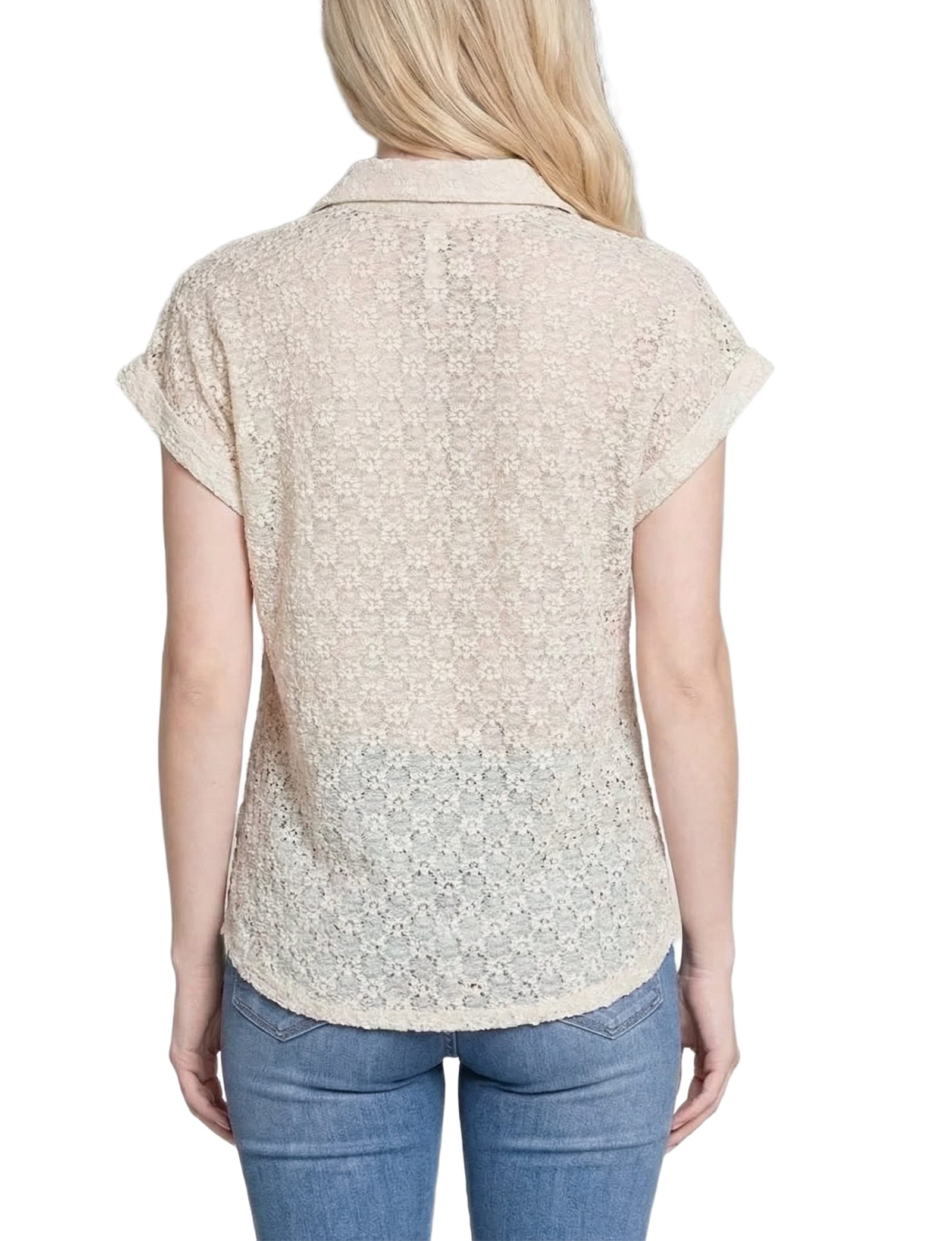Petite Short Sleeve Lace Blouse thumbnail 4