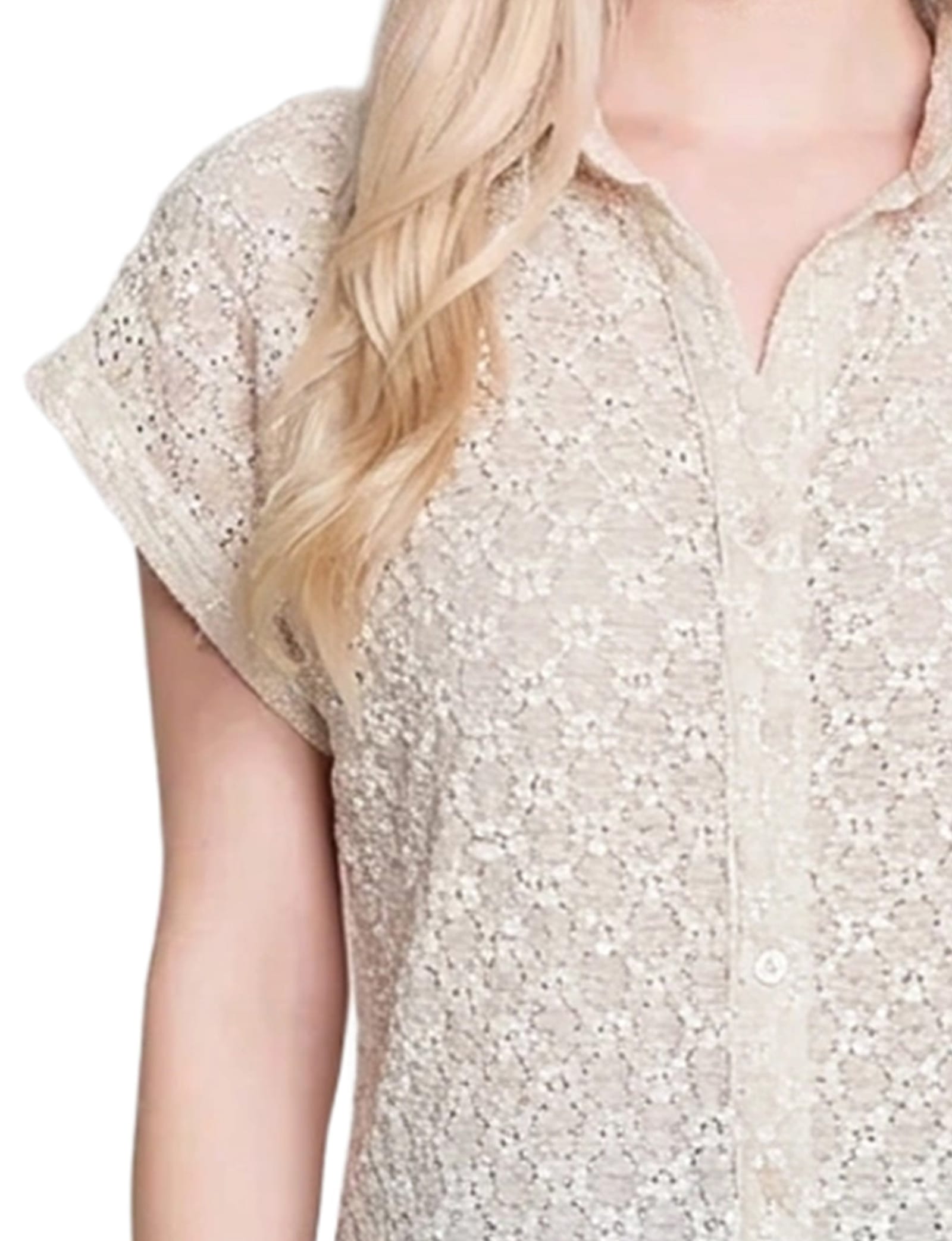Petite Short Sleeve Lace Blouse thumbnail 2
