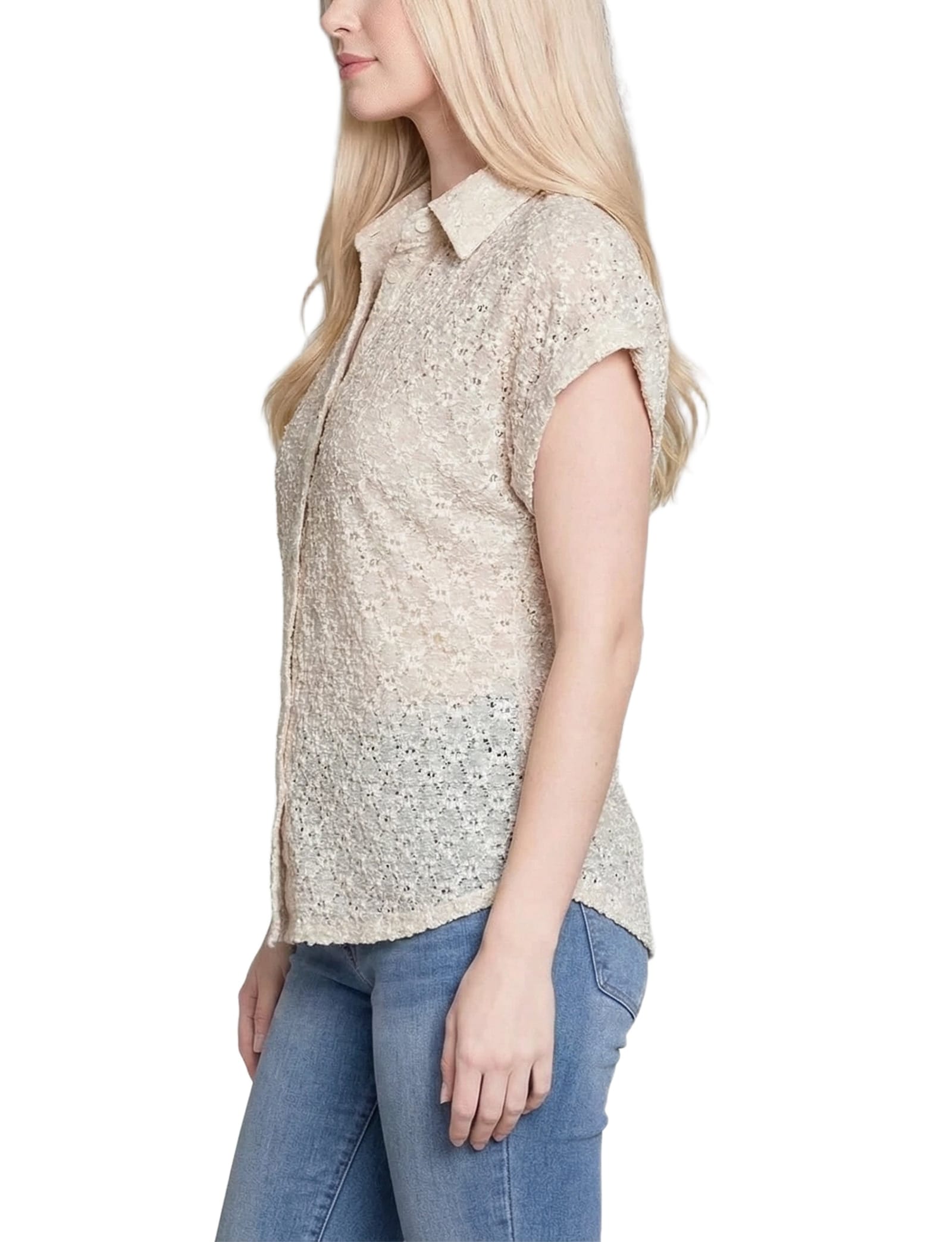 Petite Short Sleeve Lace Blouse thumbnail 3