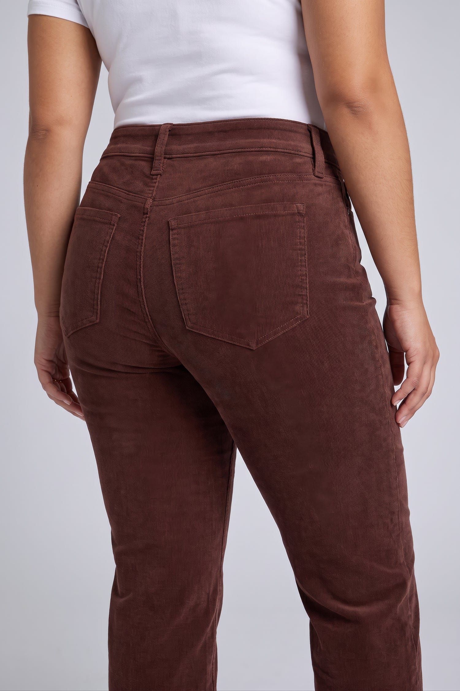 Marilyn Straight Pants in Plus Size thumbnail 5